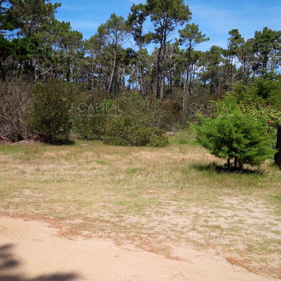 Terreno en venta El Caracol Laguna Garzón