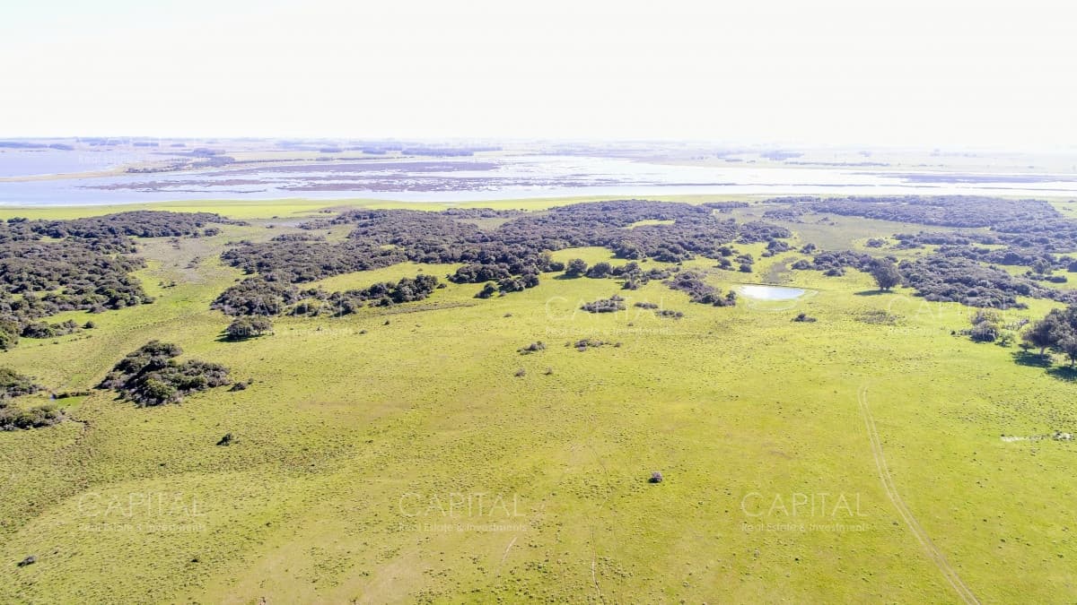 Lote de 108 Hectareas en El Caracol - Garzon