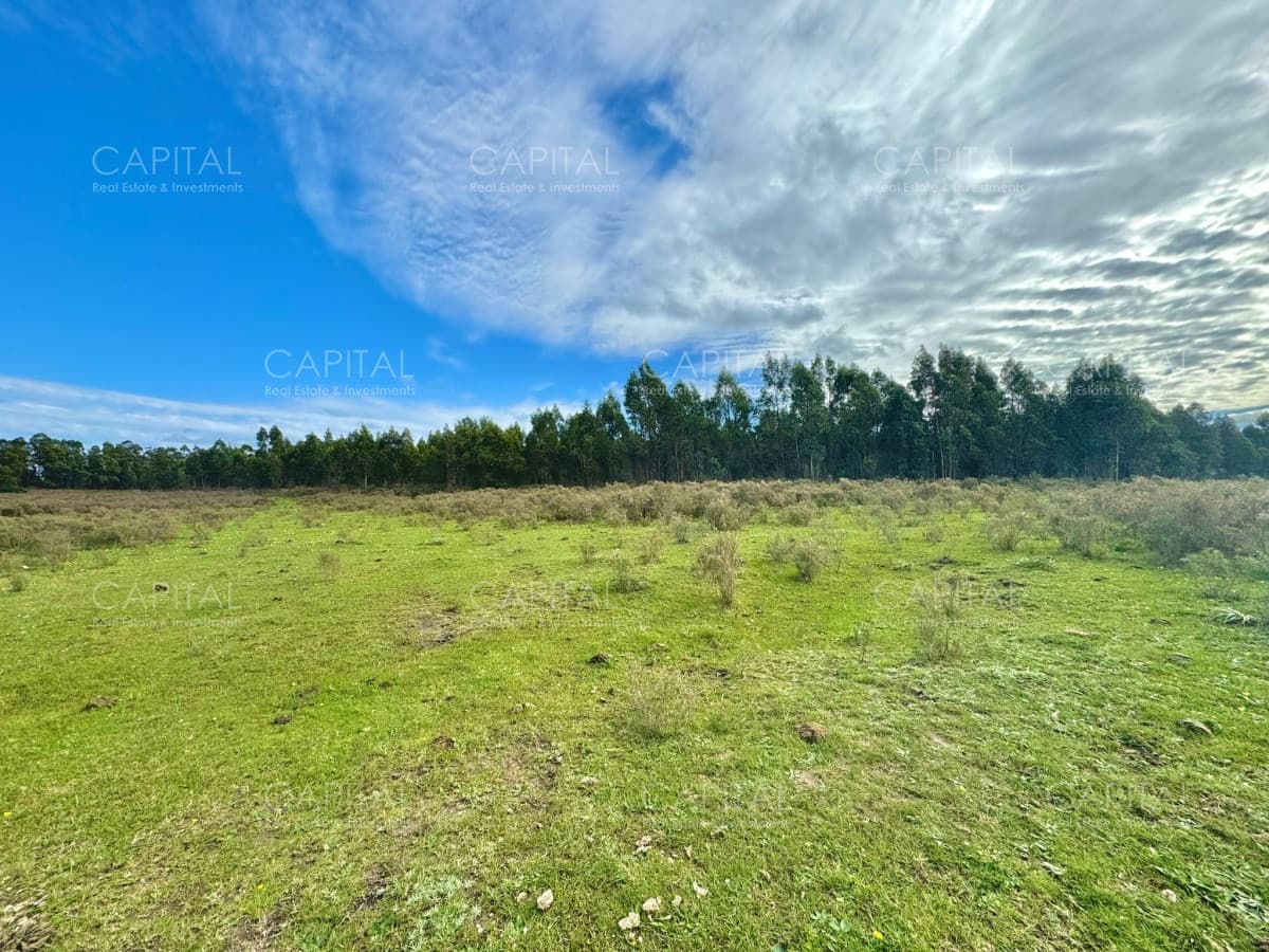 CHACRA de 5 hectáreas en Venta en Sierra de los Caracoles