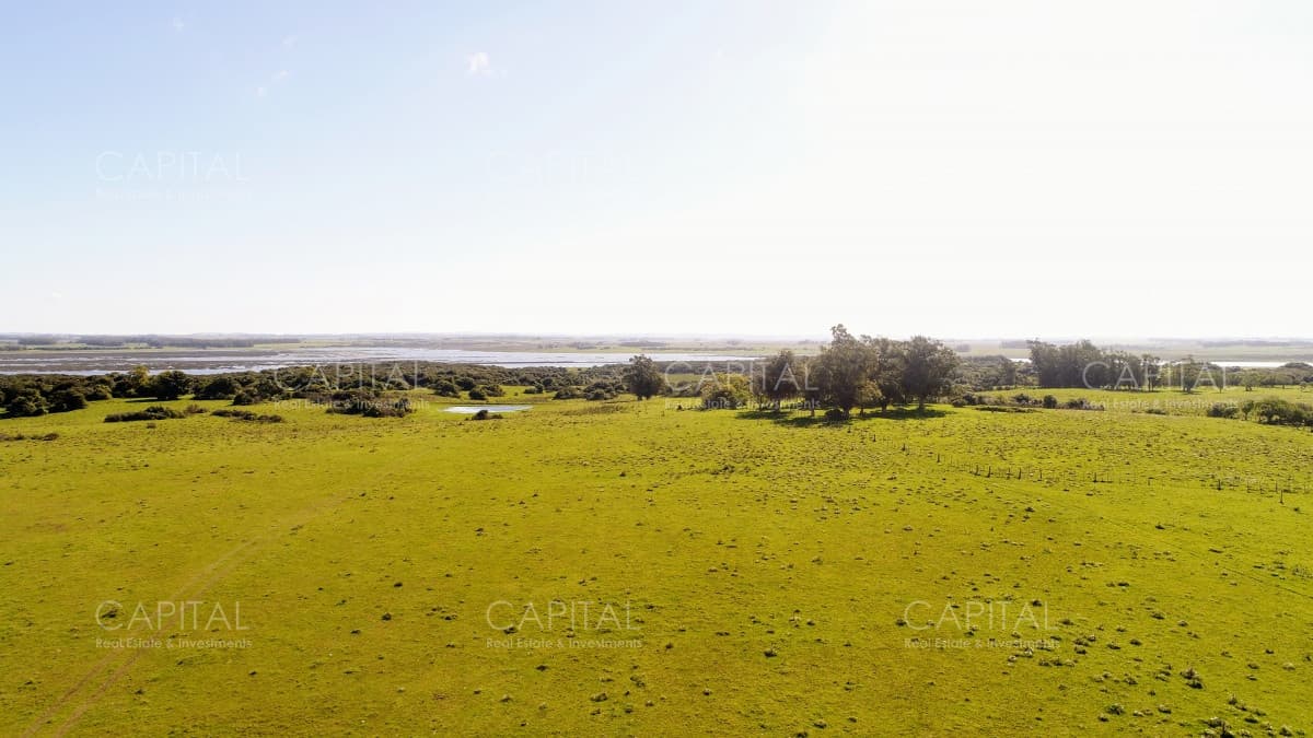 Lote de 108 Hectareas en El Caracol - Garzon