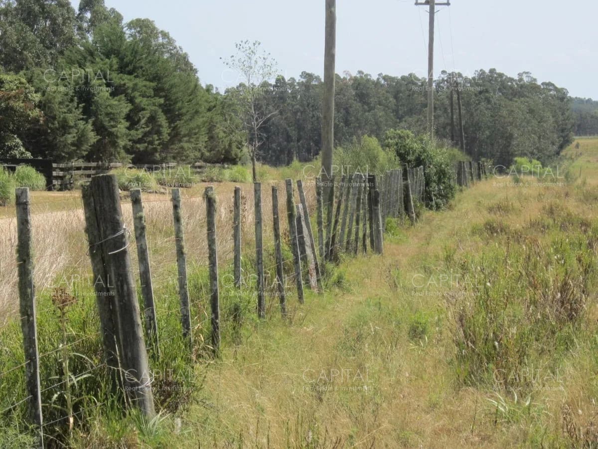 Lote en venta en Cerro Eguzquiza Ideal para barrio privado e inversionistas.