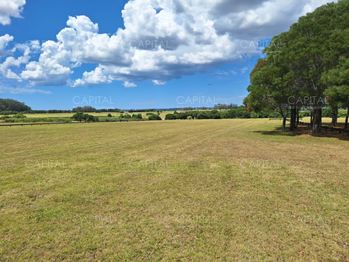 Terreno en Venta en Fasano