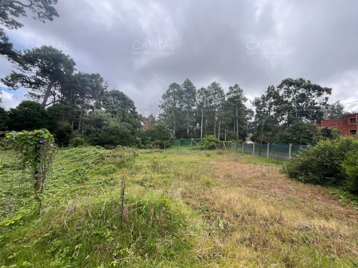 Terreno en venta en el Golf de Punta Del Este