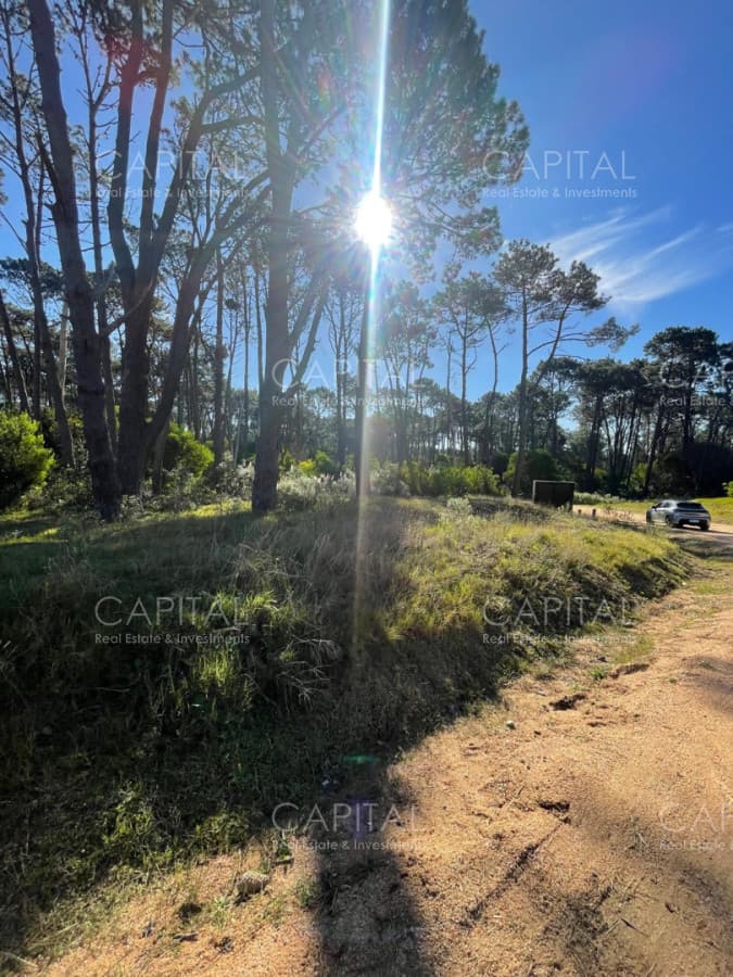 Lote en venta en barrio cerrado Reserva Montoya en La Barra