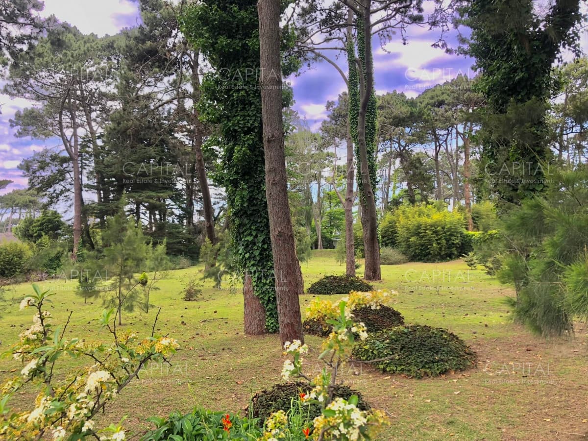 Lote en venta en Playa Brava, Punta del Este