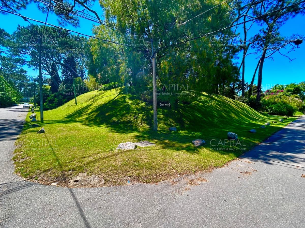 Terreno apto para edificio en venta.
