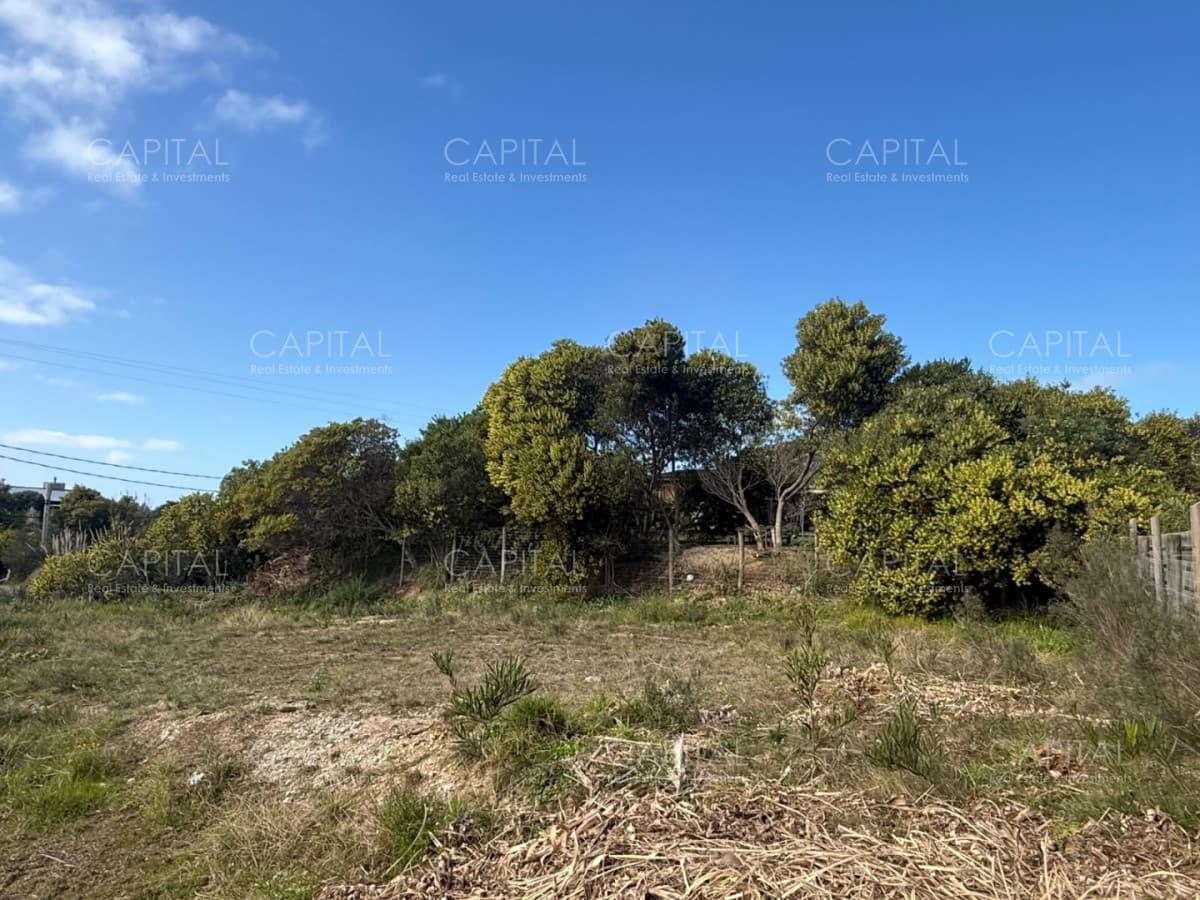 Lote en Venta Altos de Punta Piedras