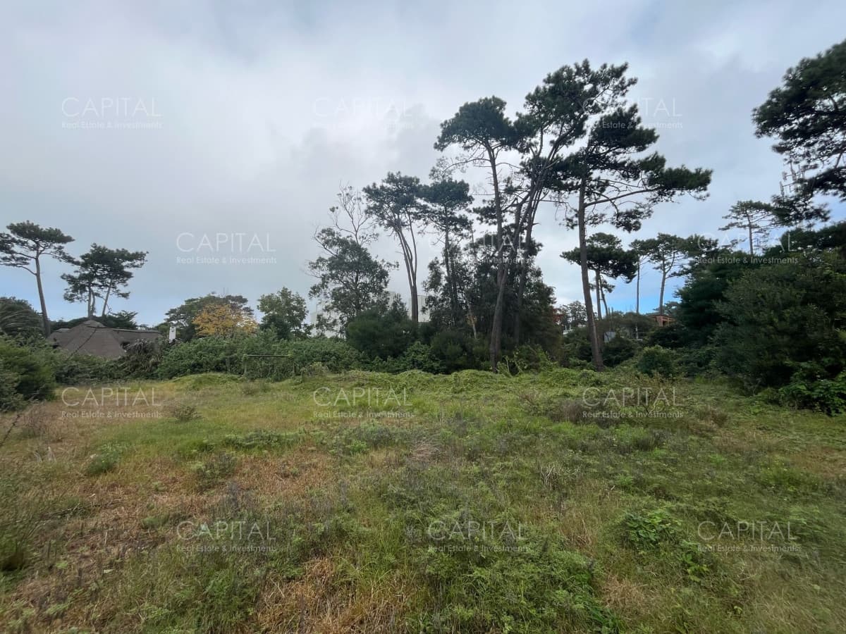 Terreno en venta en el Golf de Punta Del Este