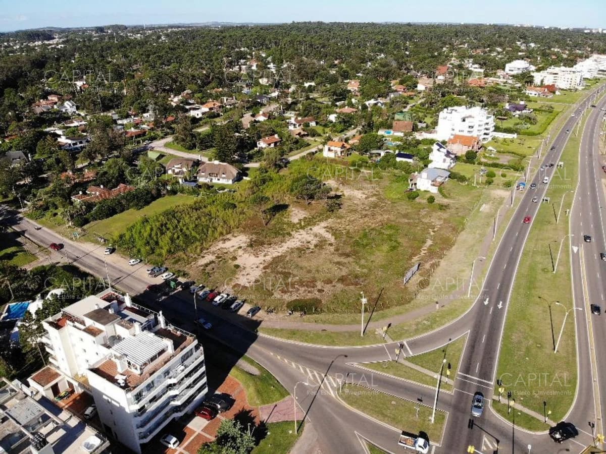 Terreno Frente al Mar Lote 10.376 m2 frente al mar Punta del Este