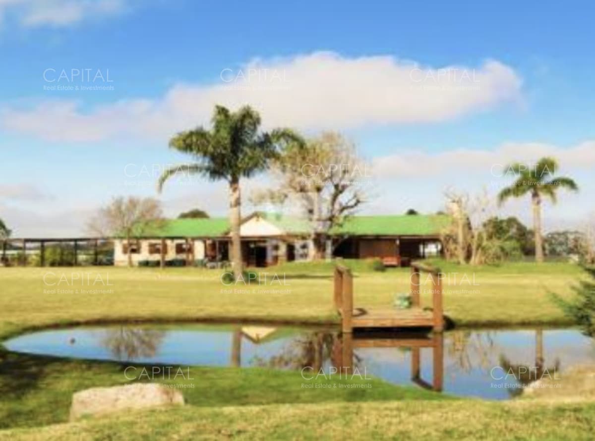 El Quijote: Terreno de 5005 m² en La Barra