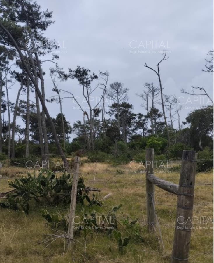 Lote en Caracol 1500m2 a 10km de José Ignacio