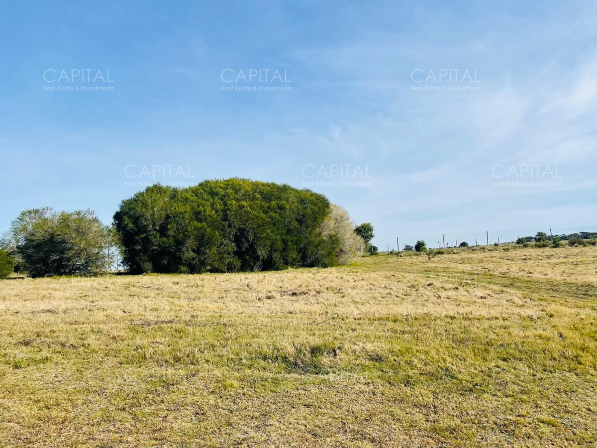 Lote en Laguna Escondida en Jose Ignacio