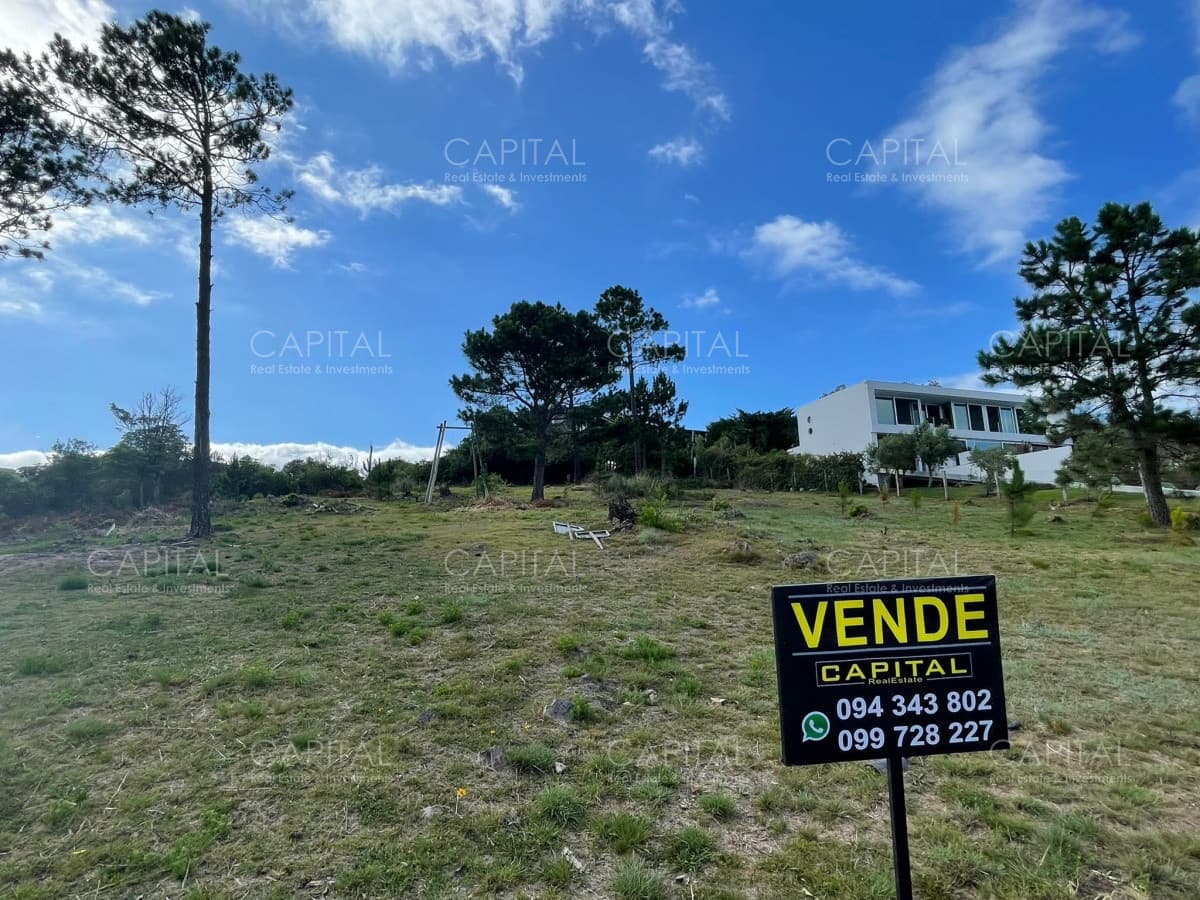 Terreno en Punta Ballena en venta