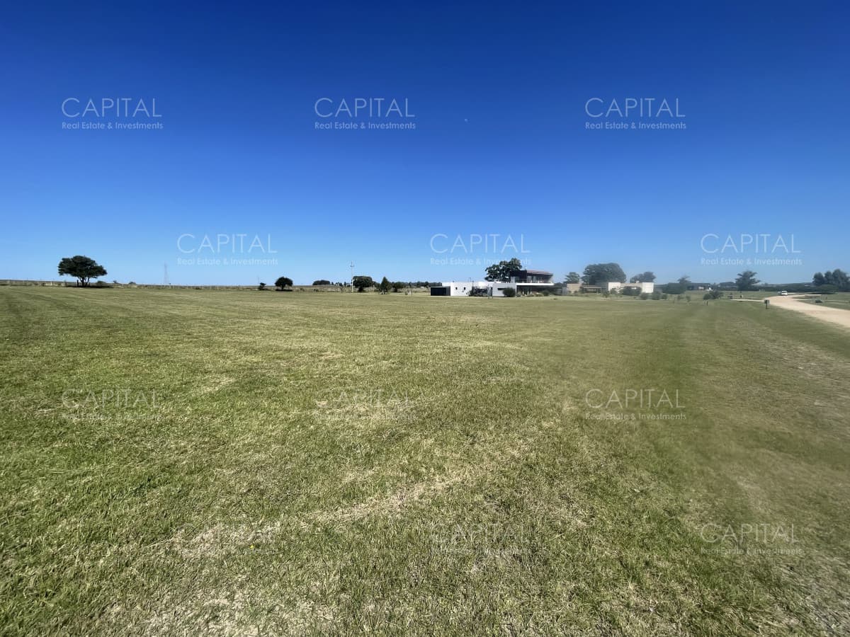 Terreno de 5.000 m² en El Quijote – Oportunidad con Proyecto Opcional