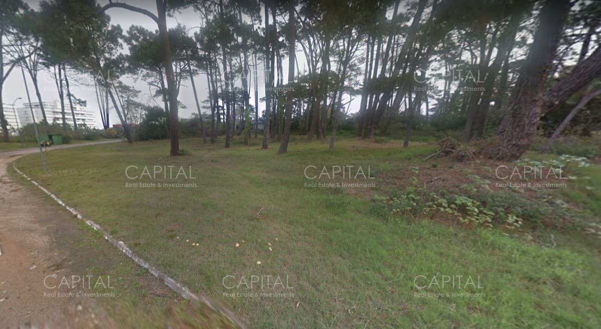 Lote Para Desarrollo en Punta del Este Playa Brava