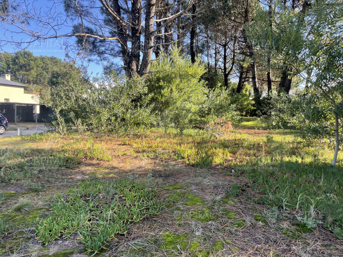 Venta de terreno en Pinar Del Faro, José Ignacio