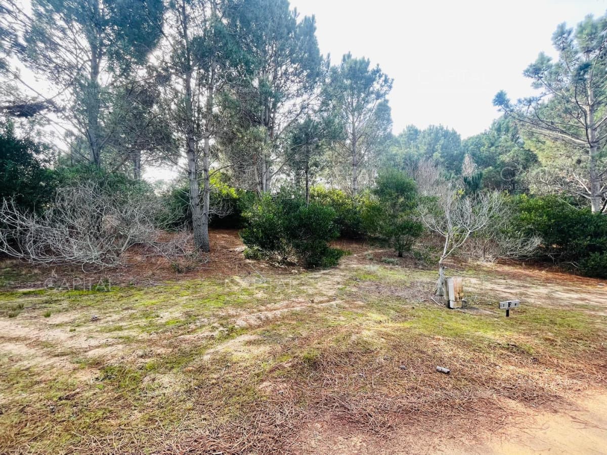 Barrio Privado en Jose Ignacio