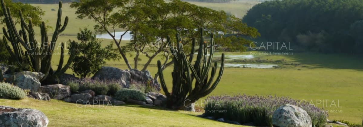 Espectaculares chacras en venta  en Fasano