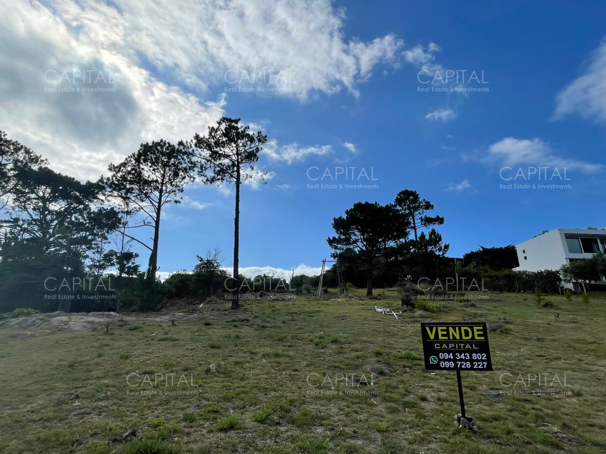 Terreno en Punta Ballena en venta