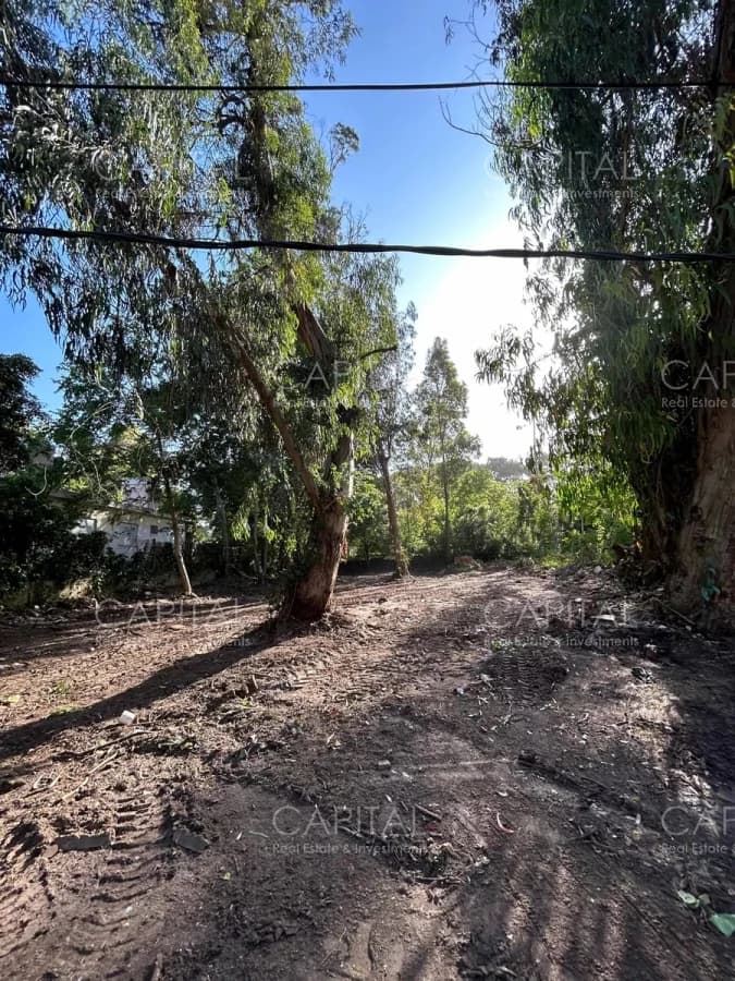 Lote en venta de tres cuadras de Playa Brava Punta del Este