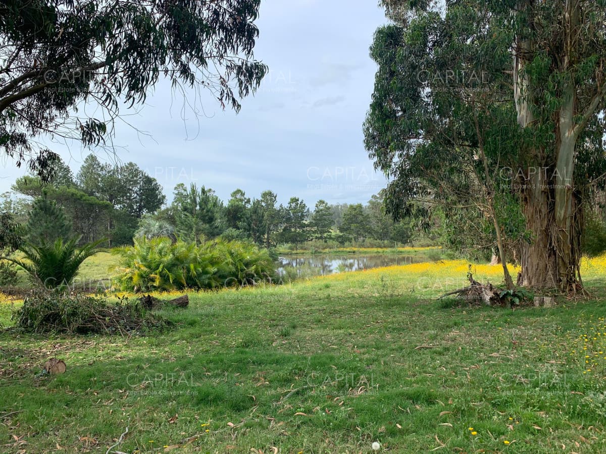Lote en venta en Mangrullos de Punta Piedra