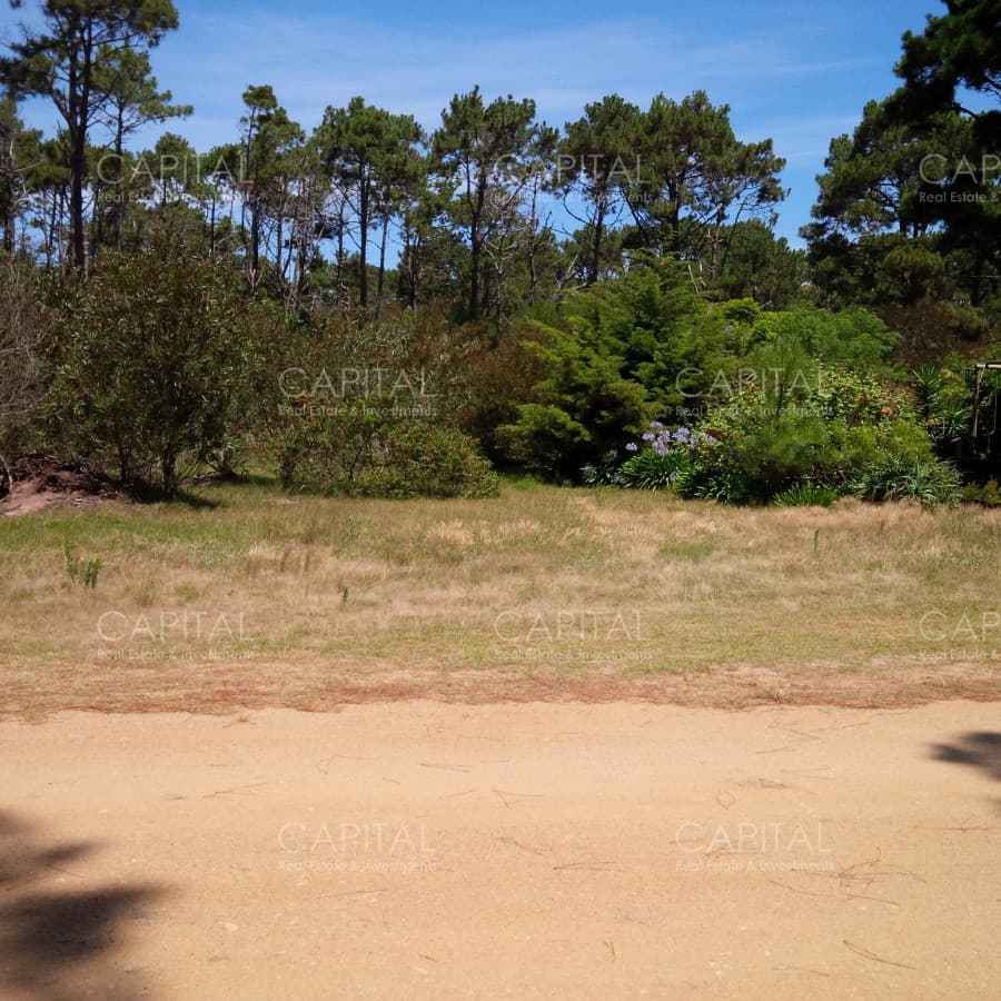 Terreno en venta El Caracol Laguna Garzón