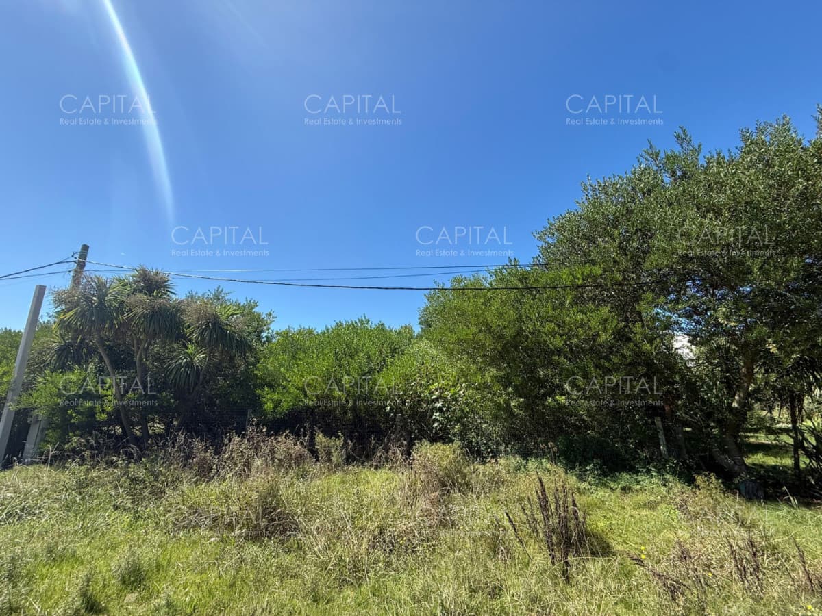 Terreno en Venta Miramar Acres