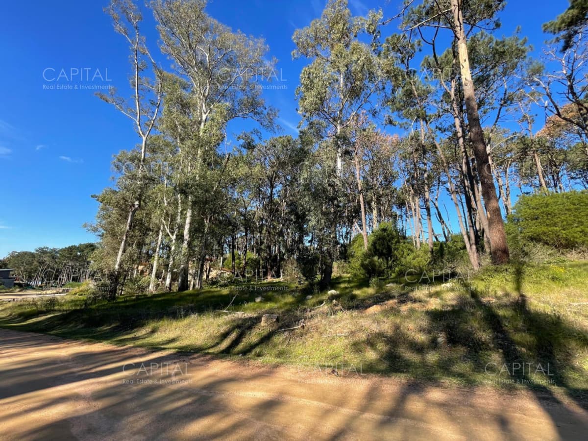 Lote en venta en barrio cerrado Reserva Montoya en La Barra