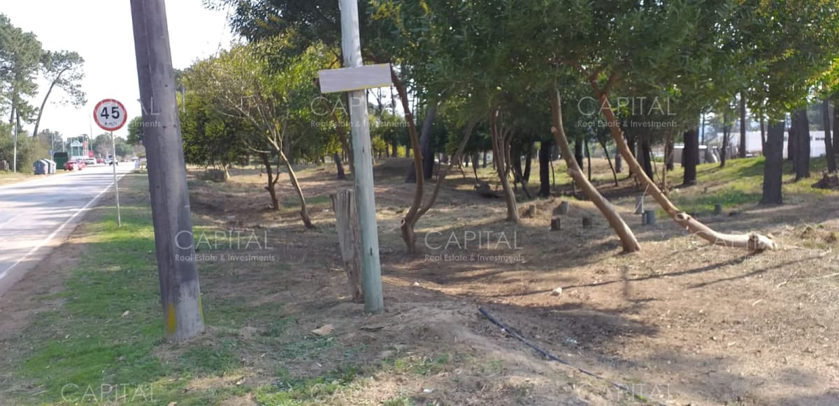 Gran terreno en venta en Lausana + Maldonado + inversores