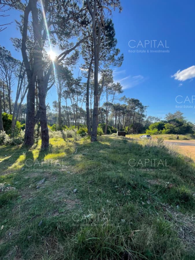 Lote en venta en barrio cerrado Reserva Montoya en La Barra