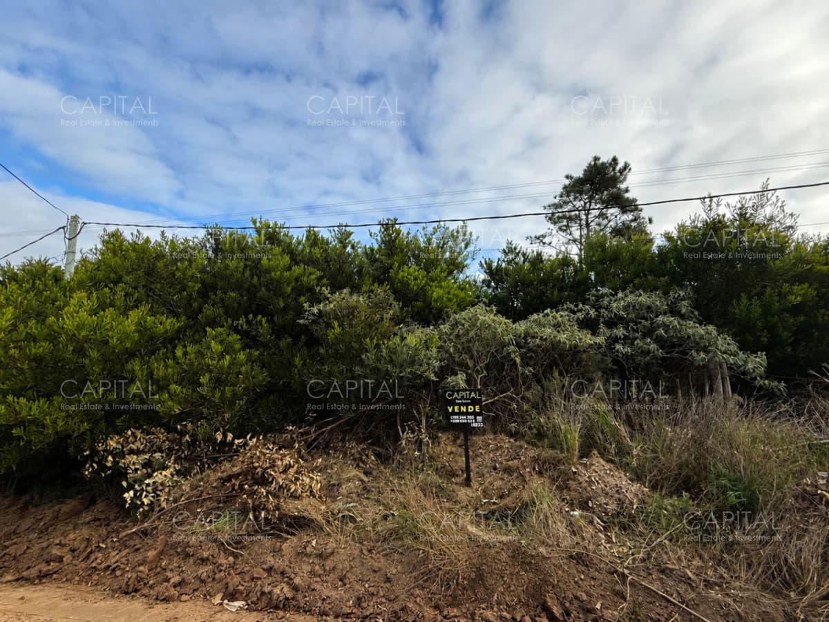 Lote en Altos de Punta Piedras
