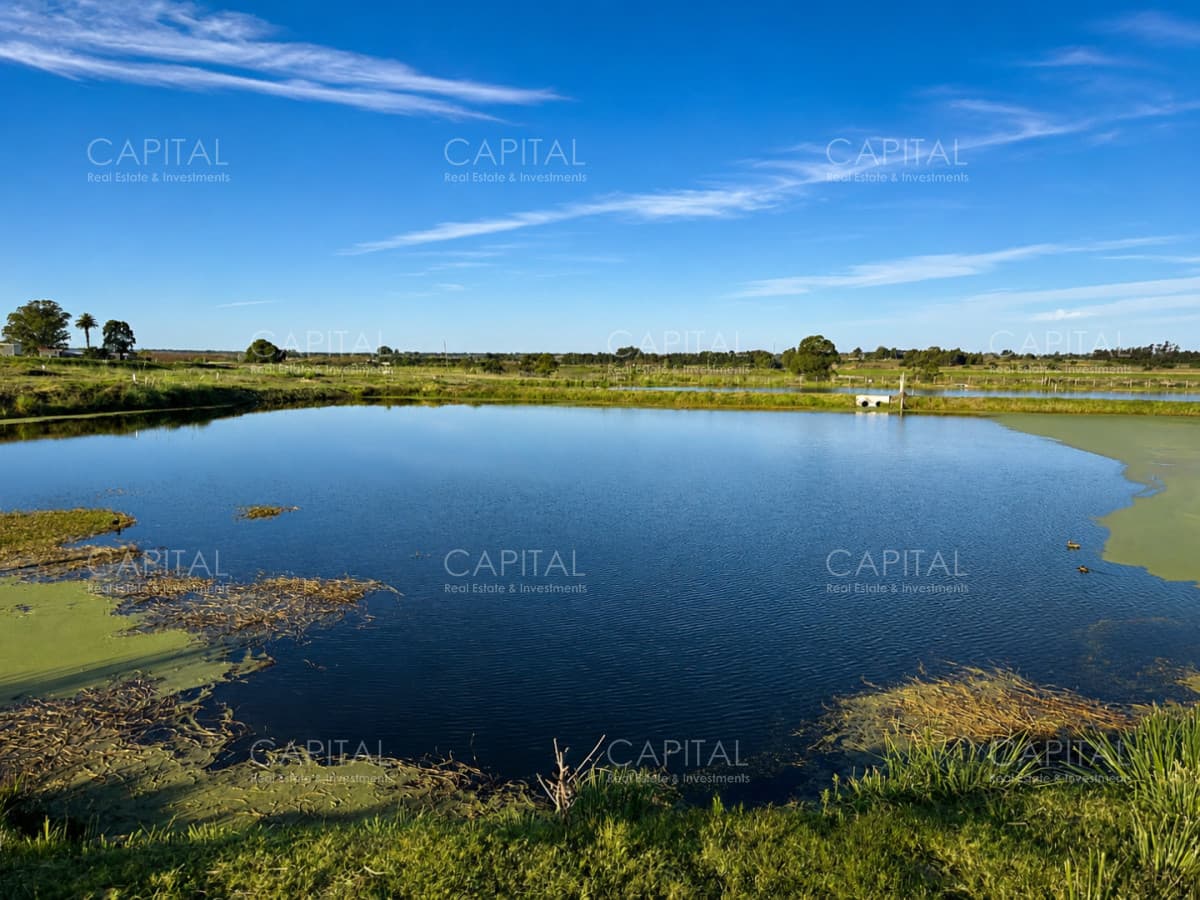Terreno en venta en Cavas de La Tahona con vista a laguna