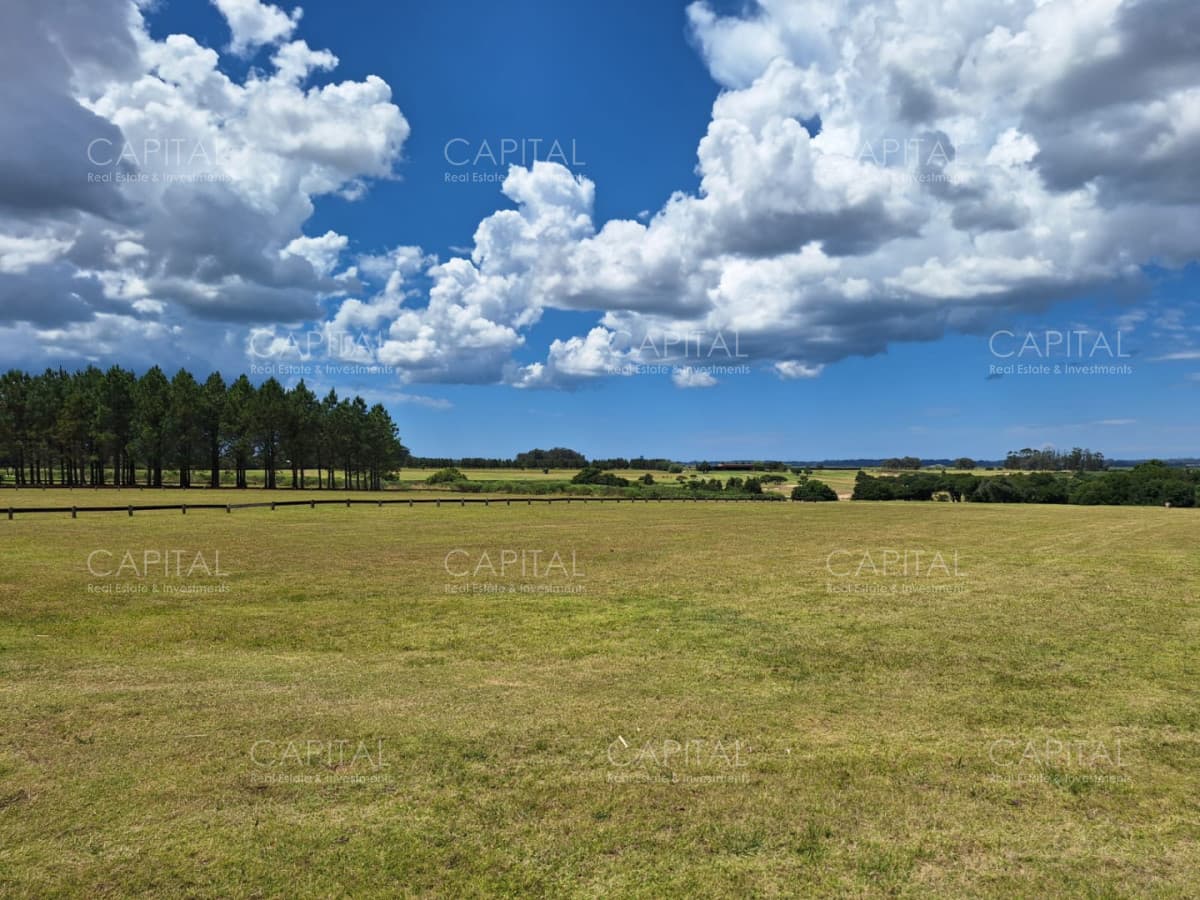 Terreno en Venta en Fasano