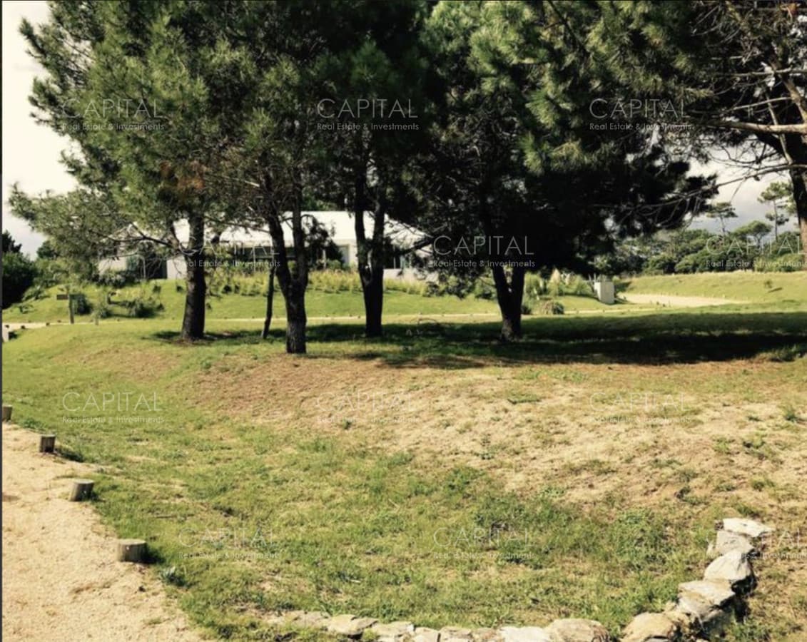 Lote en venta Pinar del Faro en José Ignacio