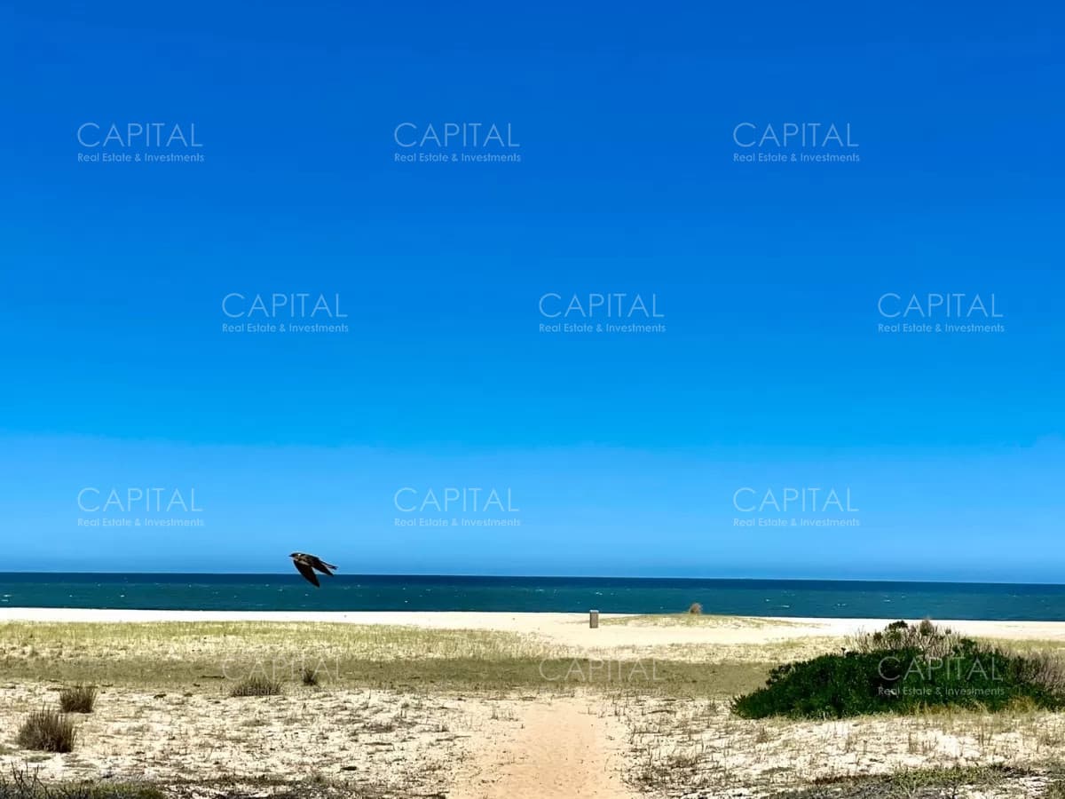 Lote Primera Linea Frente al Mar en Montoya, La Barra, Punta del Este en Venta, Ideal para Edificaciones e Inversores