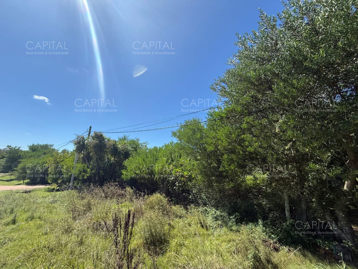 Terreno en Venta Miramar Acres