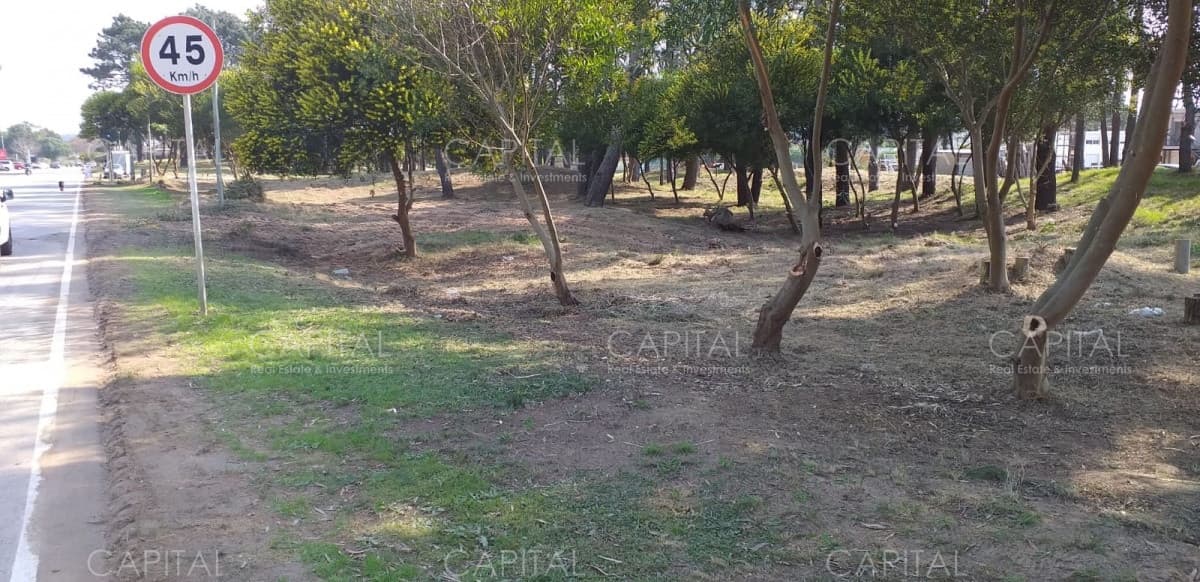 Gran terreno en venta en Lausana + Maldonado + inversores