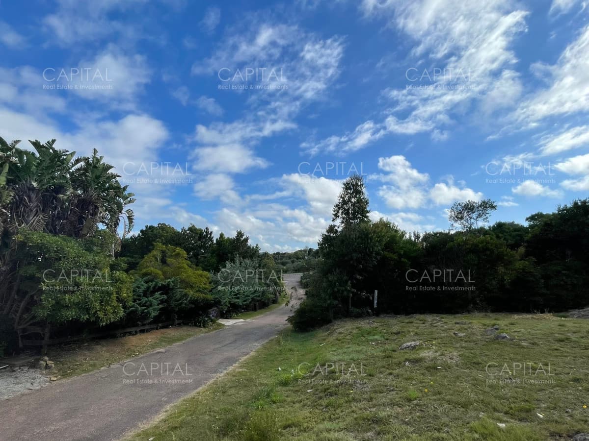 Terreno en Punta Ballena en venta
