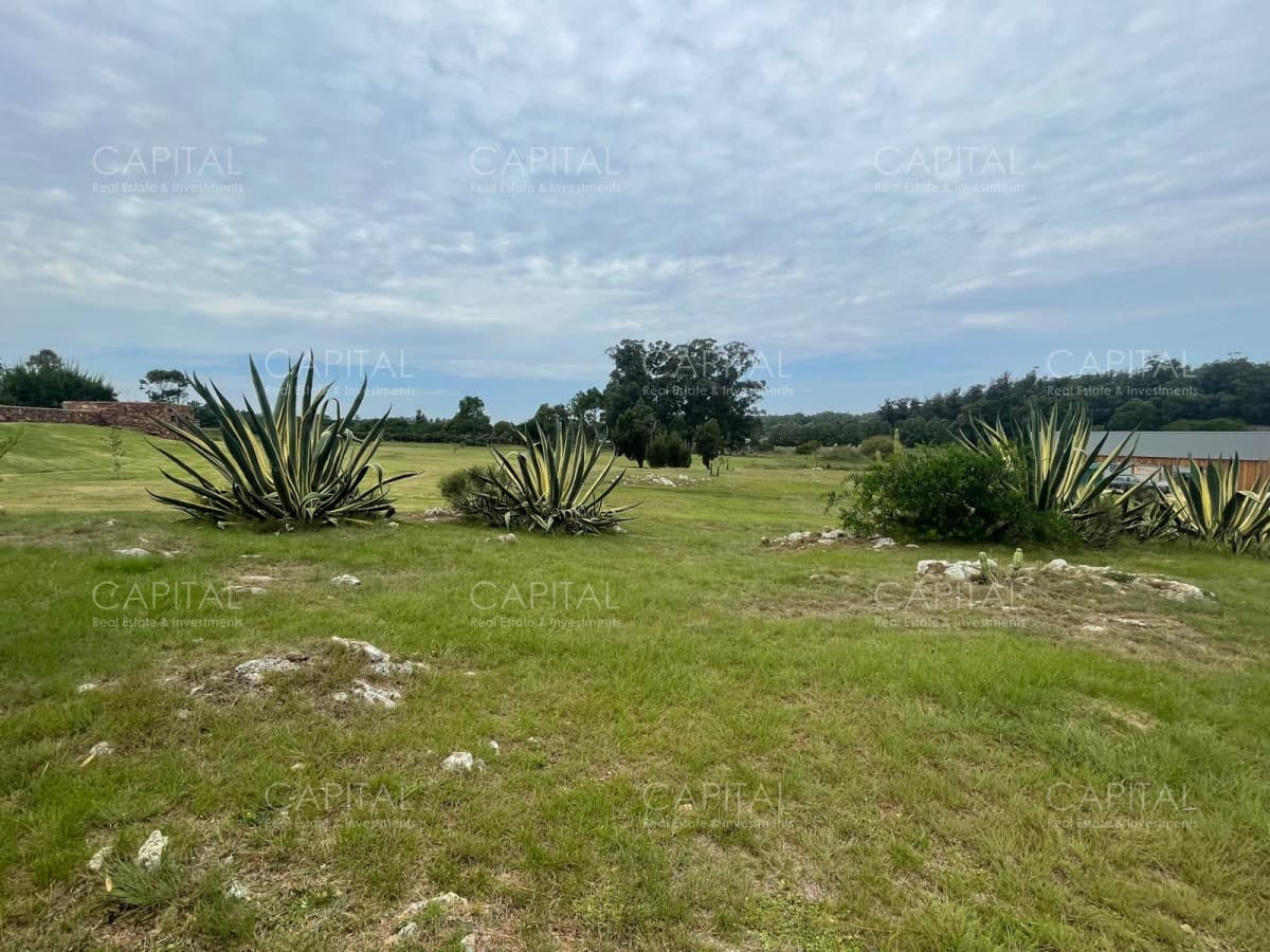 Terreno en venta en Pueblo Coyote Mangrullos Manantiales