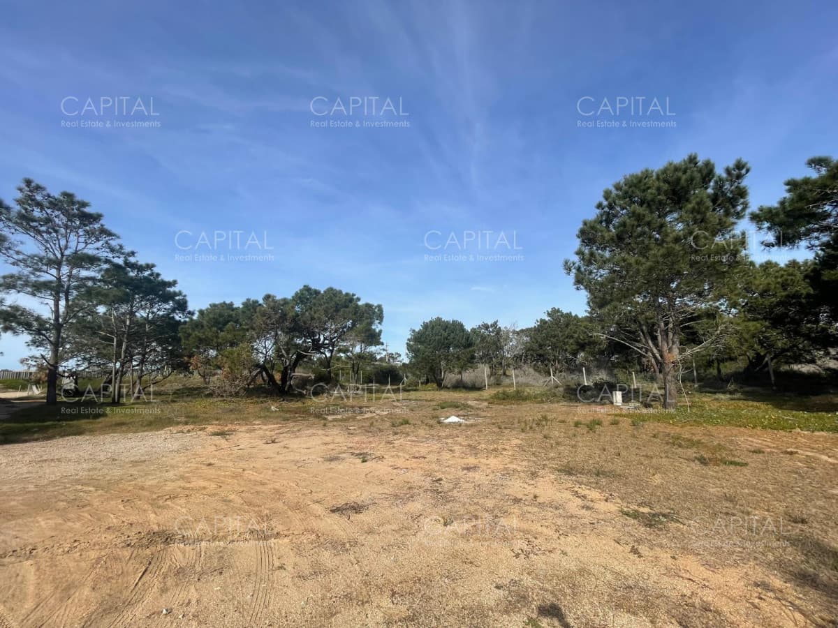 Laguna Escondida barrio privado Jose Ignacio
