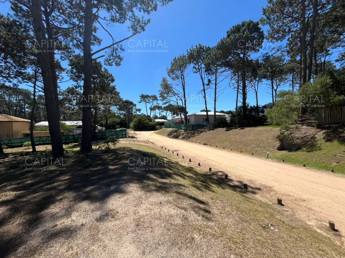 Terreno Pinar Del Faro José Ignacio