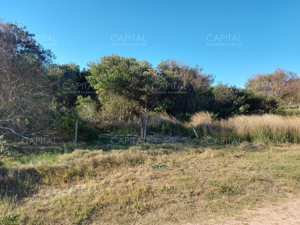Terreno en venta, La Juanita, José Ignacio