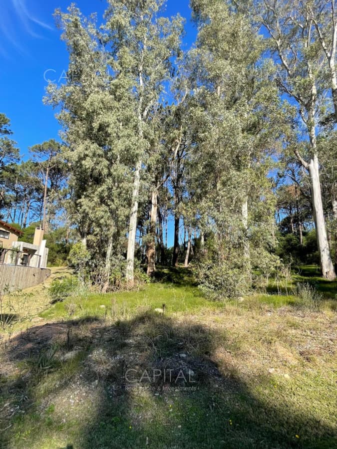 Lote en venta en barrio cerrado Reserva Montoya en La Barra próximo almar