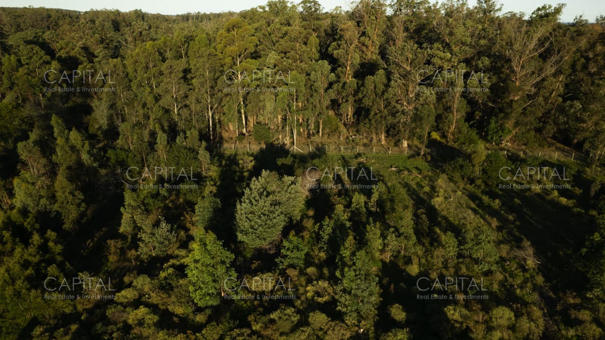 Terreno en venta en Eden Rock - Zona en crecimiento