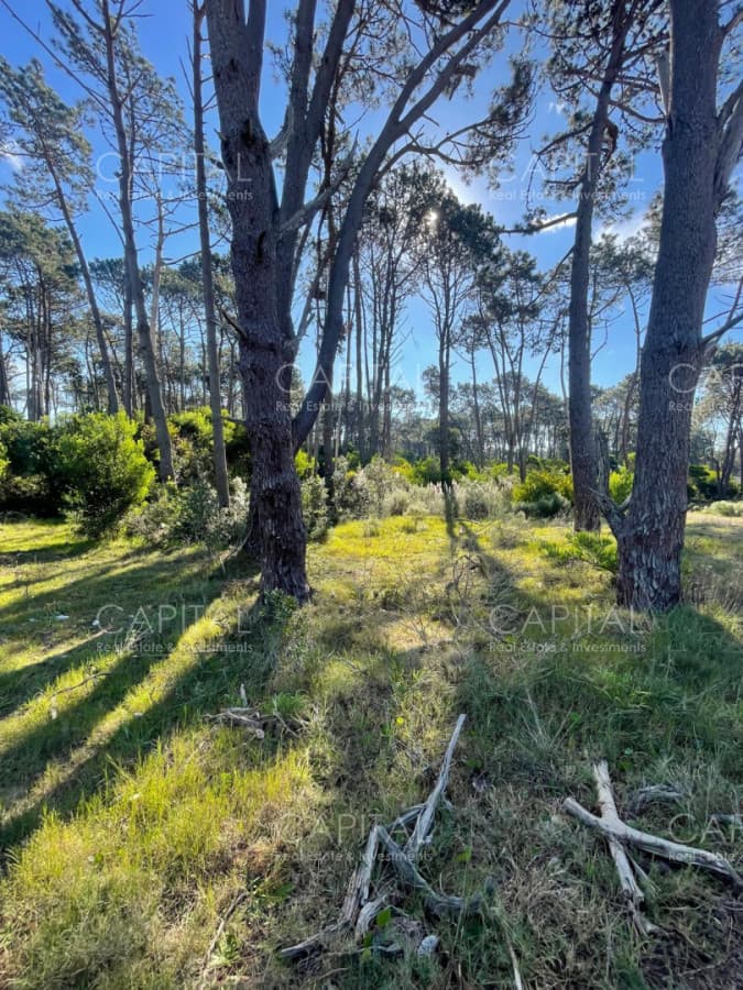 Lote en venta en barrio cerrado Reserva Montoya en La Barra