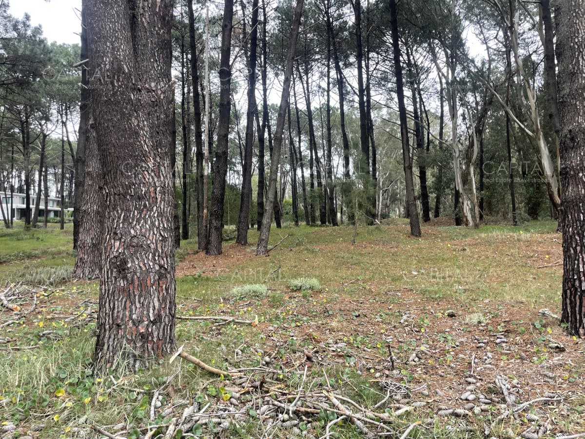 Lote en venta en Reserva Montoya segunda linea de Laguna