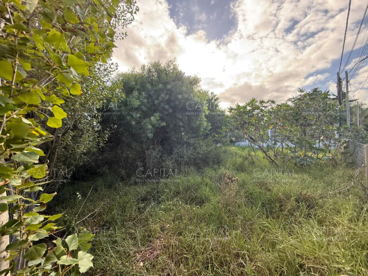 Lote en Altos de Punta Piedras