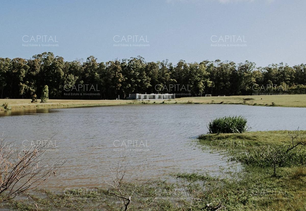 Chacra en Venta en Lomas de San Vicente