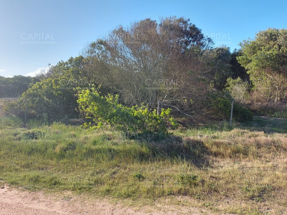 Terreno en venta, La Juanita, José Ignacio