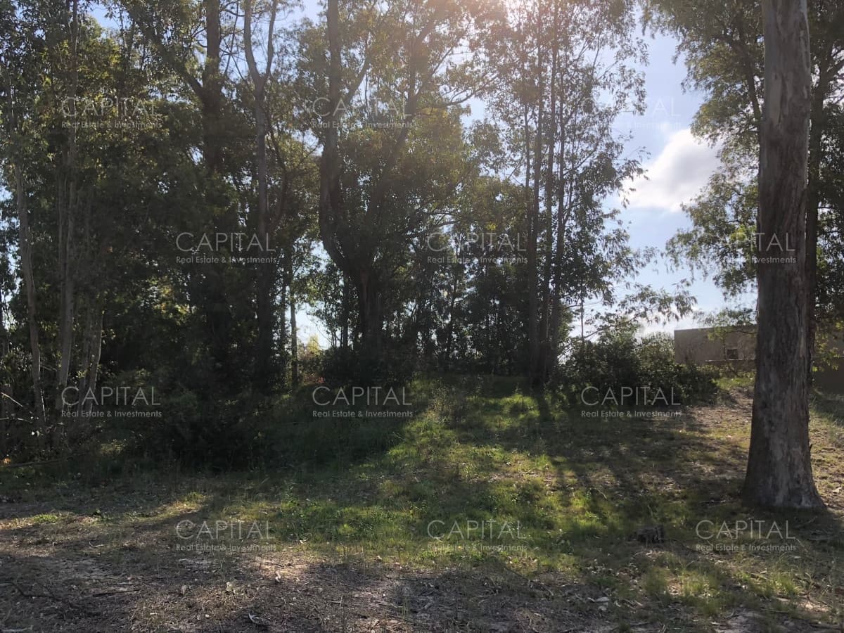 Lote en Barrio Privado La Arbolada, Punta del Este